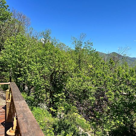 Les Magnels Bed and Breakfast Valleraugue Εξωτερικό φωτογραφία