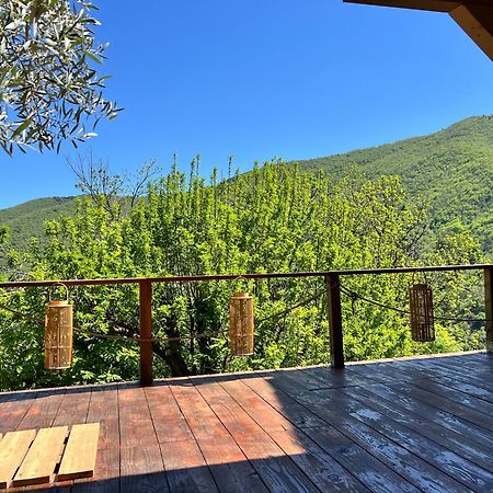 Les Magnels Bed and Breakfast Valleraugue Εξωτερικό φωτογραφία
