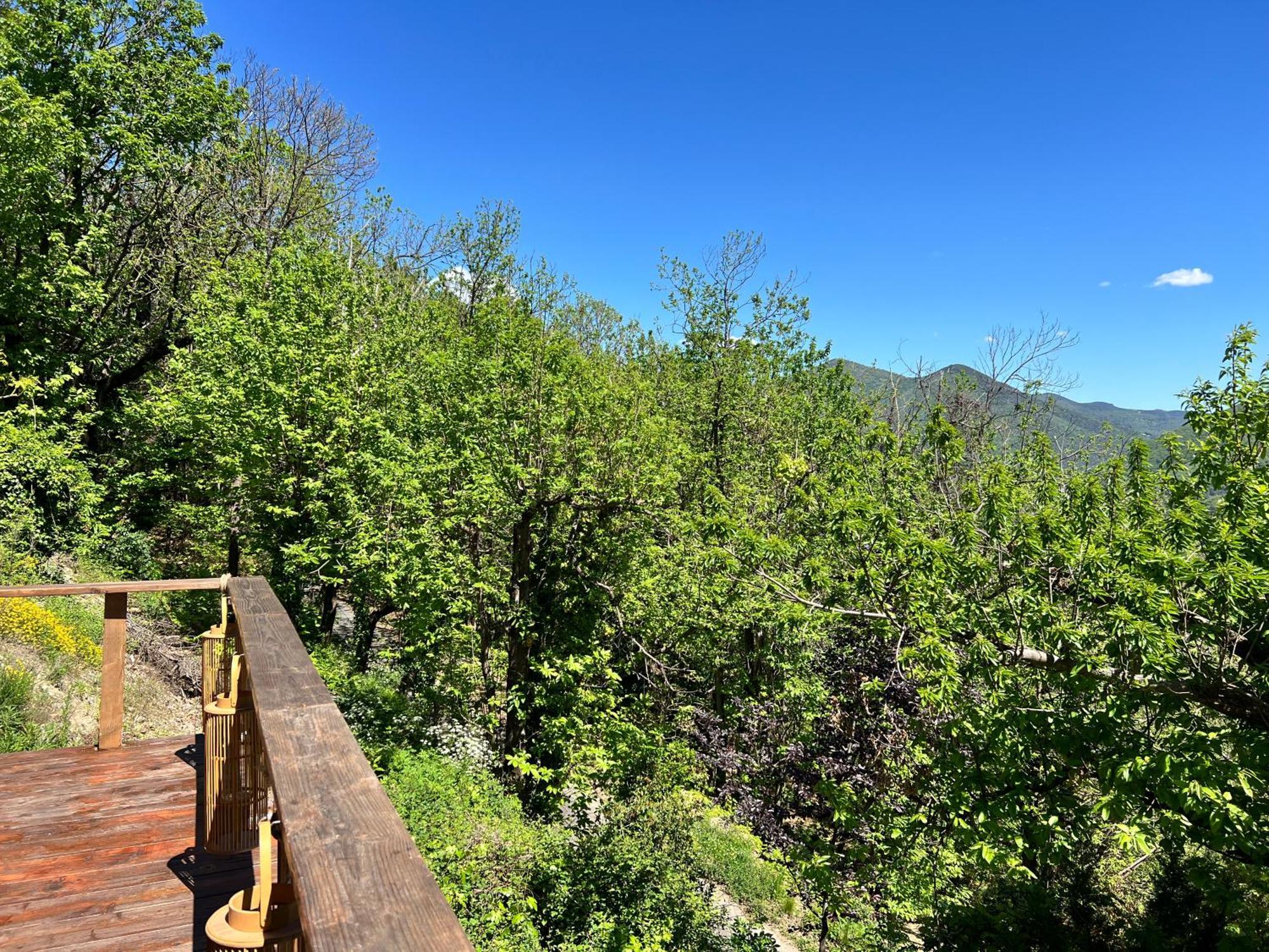 Les Magnels Bed and Breakfast Valleraugue Εξωτερικό φωτογραφία