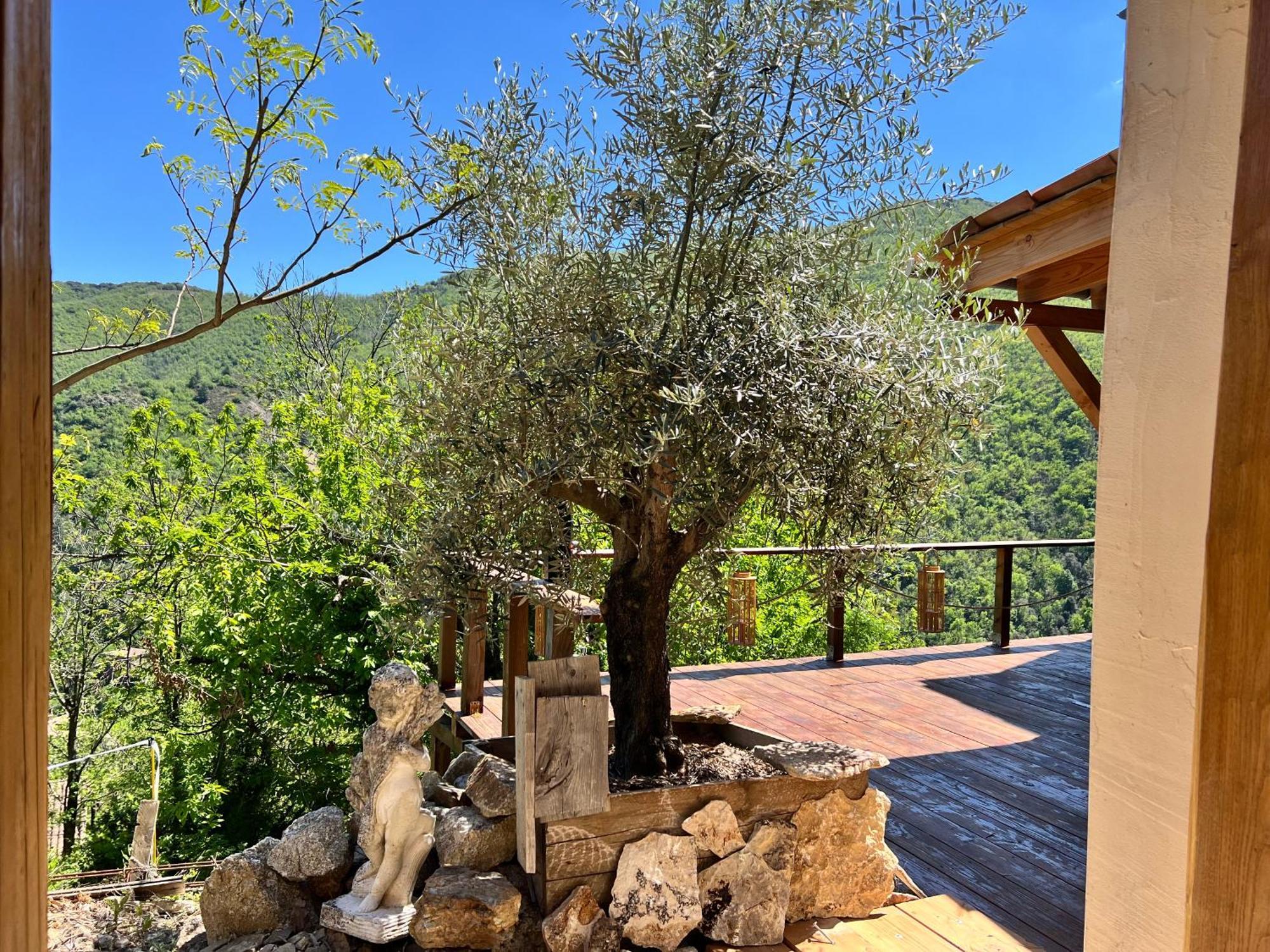 Les Magnels Bed and Breakfast Valleraugue Εξωτερικό φωτογραφία