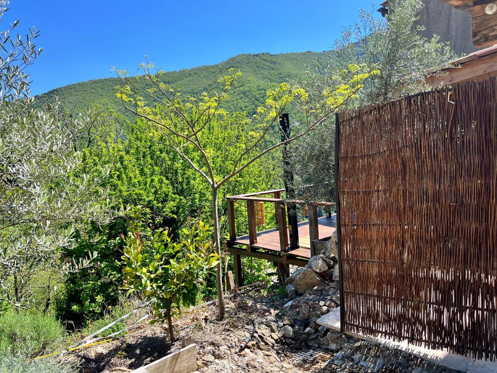 Les Magnels Bed and Breakfast Valleraugue Δωμάτιο φωτογραφία