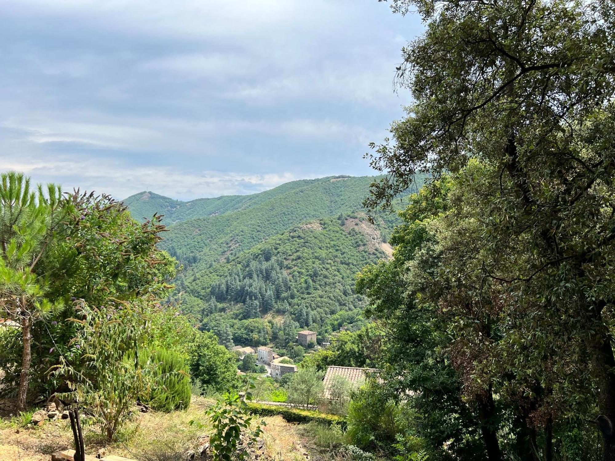 Les Magnels Bed and Breakfast Valleraugue Εξωτερικό φωτογραφία