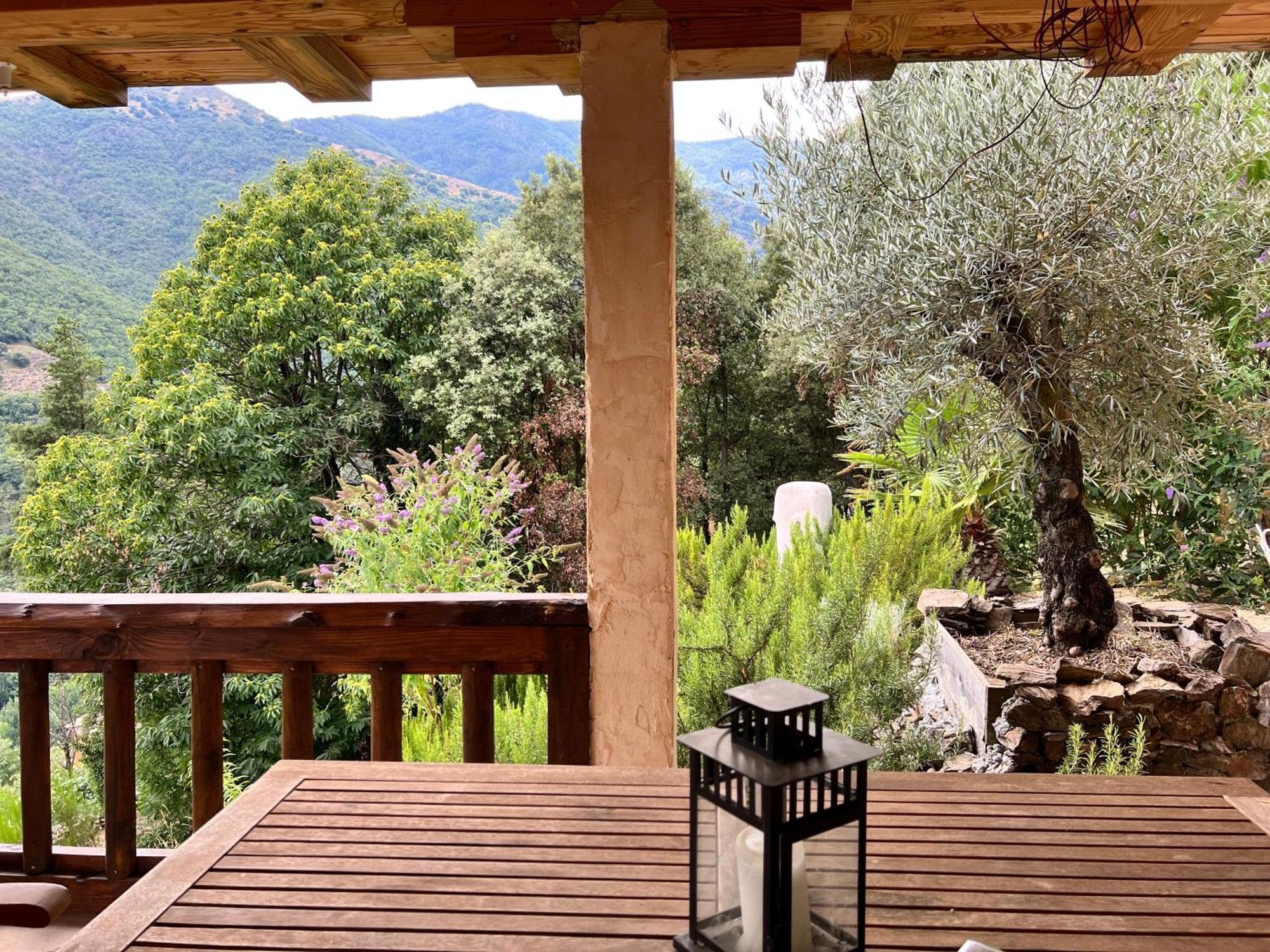 Les Magnels Bed and Breakfast Valleraugue Εξωτερικό φωτογραφία