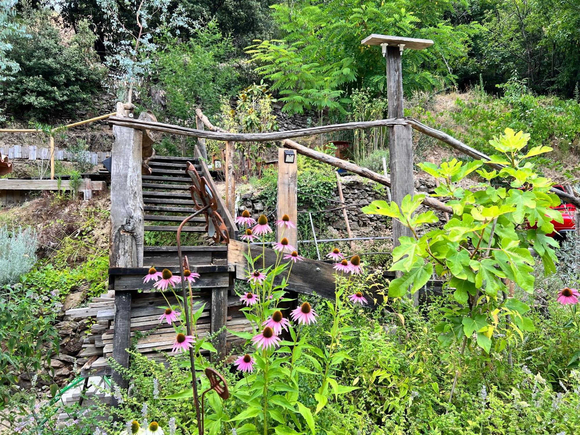 Les Magnels Bed and Breakfast Valleraugue Εξωτερικό φωτογραφία